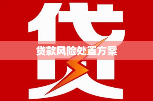 兴山贷款风险处置方案