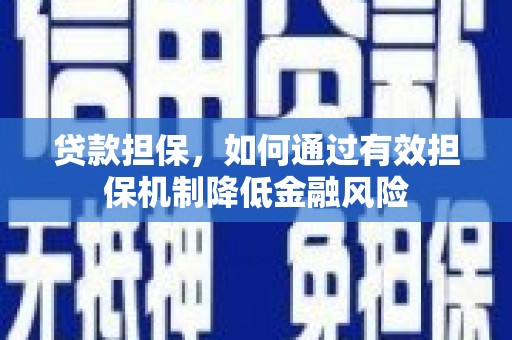 洋县贷款担保，如何通过有效担保机制降低金融风险