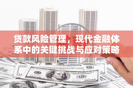 汇川贷款风险管理，现代金融体系中的关键挑战与应对策略