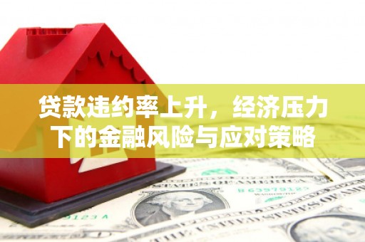 宝兴贷款违约率上升，经济压力下的金融风险与应对策略