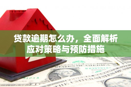 海端贷款逾期怎么办，全面解析应对策略与预防措施