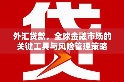 宣化外汇贷款，全球金融市场的关键工具与风险管理策略