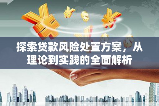 鸡泽探索贷款风险处置方案，从理论到实践的全面解析