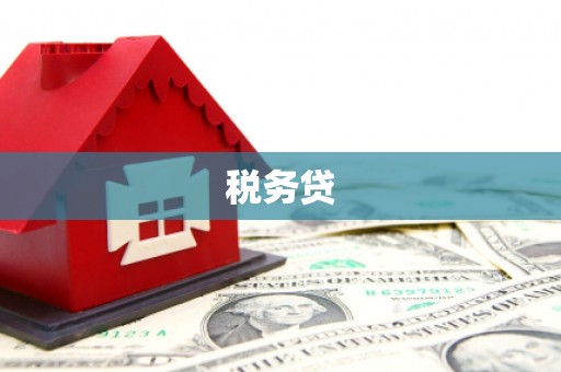 泾县税务贷