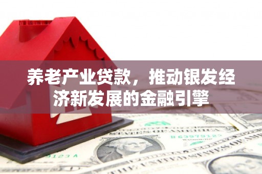 山东养老产业贷款，推动银发经济新发展的金融引擎