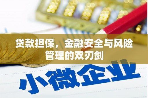 儋州贷款担保，金融安全与风险管理的双刃剑