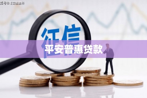 广水平安普惠贷款