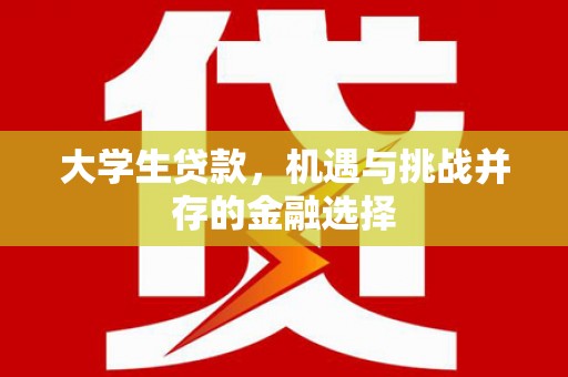 和硕大学生贷款，机遇与挑战并存的金融选择