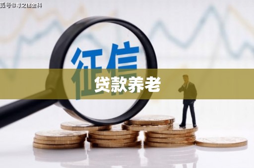 丰都贷款养老