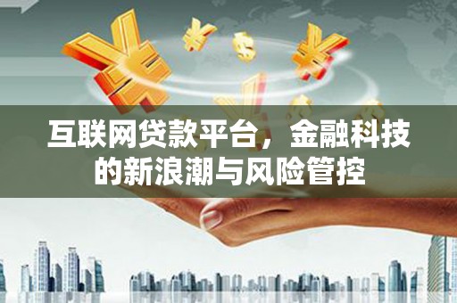 龙子湖互联网贷款平台，金融科技的新浪潮与风险管控