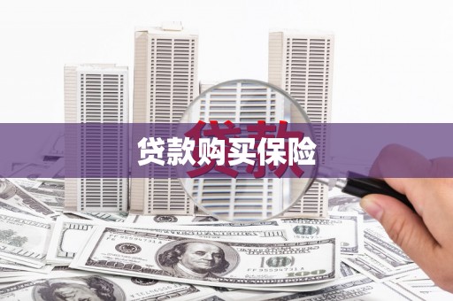 凌海贷款购买保险