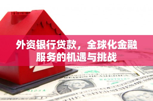兰山外资银行贷款，全球化金融服务的机遇与挑战