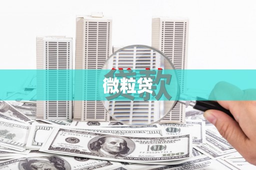 曾都微粒贷