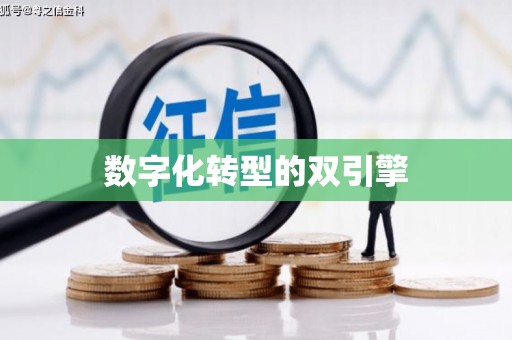 峨边数字化转型的双引擎