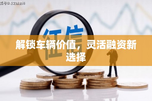 延津解锁车辆价值，灵活融资新选择