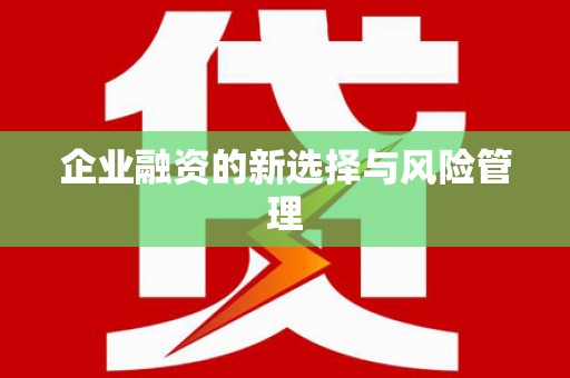 丰县企业融资的新选择与风险管理