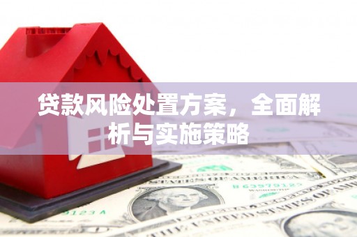 沧县贷款风险处置方案，全面解析与实施策略