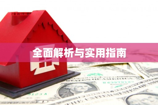 新华全面解析与实用指南