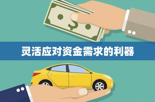 睢宁灵活应对资金需求的利器