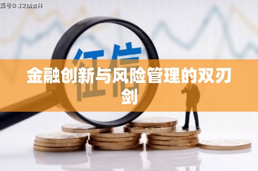 正宁金融创新与风险管理的双刃剑