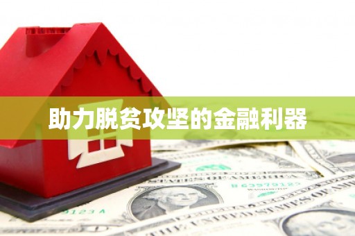 喀什助力脱贫攻坚的金融利器