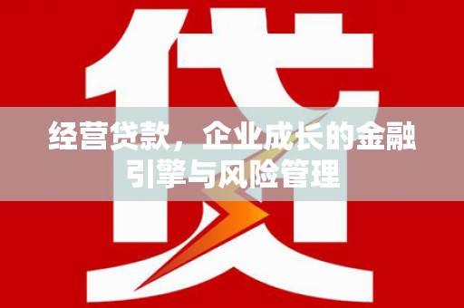 巧家经营贷款，企业成长的金融引擎与风险管理