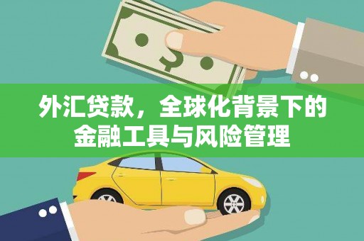 沁源外汇贷款，全球化背景下的金融工具与风险管理